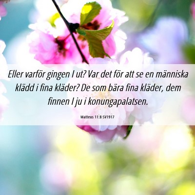 Picture 06 - Matteus 11:8 SV1917 - Eller varför gingen I ut? Var det för att se en - Bible Verse Picture