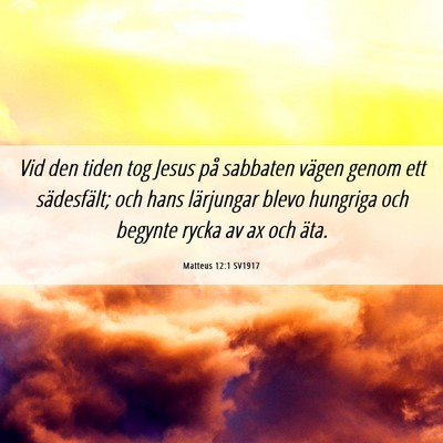Picture 06 - Matteus 12:1 SV1917 - Vid den tiden tog Jesus på sabbaten vägen genom - Bible Verse Picture