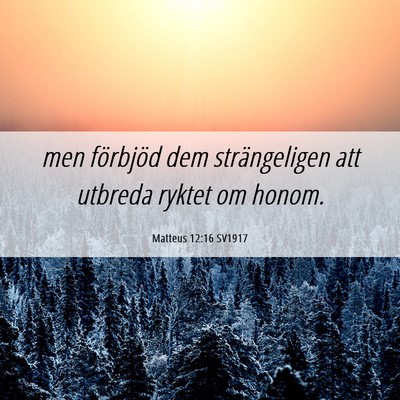 Picture 06 - Matteus 12:16 SV1917 - men förbjöd dem strängeligen att utbreda - Bible Verse Picture