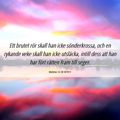 Picture 06 - Matteus 12:20 SV1917 - Ett brutet rör skall han icke sönderkrossa, och - Bible Verse Picture