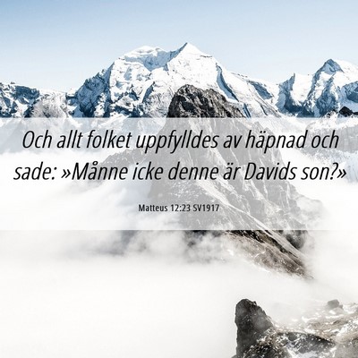 Picture 06 - Matteus 12:23 SV1917 - Och allt folket uppfylldes av häpnad och sade: - Bible Verse Picture