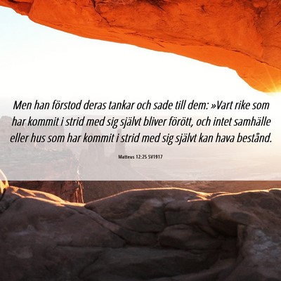 Picture 06 - Matteus 12:25 SV1917 - Men han förstod deras tankar och sade till dem: - Bible Verse Picture