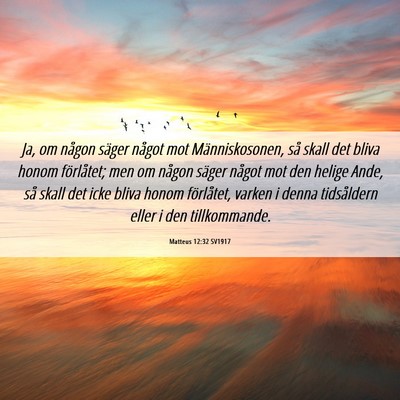 Picture 06 - Matteus 12:32 SV1917 - Ja, om någon säger något mot Människosonen, - Bible Verse Picture