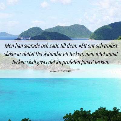 Picture 06 - Matteus 12:39 SV1917 - Men han svarade och sade till dem: »Ett ont och - Bible Verse Picture