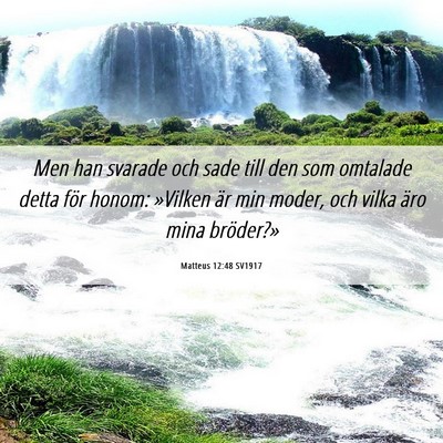 Picture 06 - Matteus 12:48 SV1917 - Men han svarade och sade till den som omtalade - Bible Verse Picture