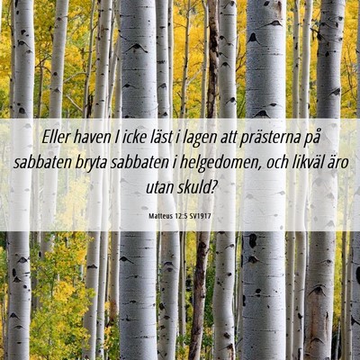 Picture 06 - Matteus 12:5 SV1917 - Eller haven I icke läst i lagen att prästerna - Bible Verse Picture