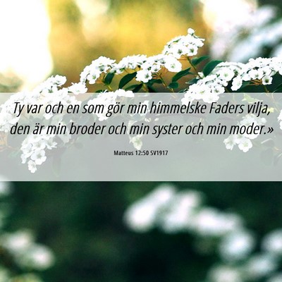 Picture 06 - Matteus 12:50 SV1917 - Ty var och en som gör min himmelske Faders - Bible Verse Picture