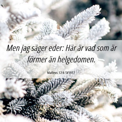 Picture 06 - Matteus 12:6 SV1917 - Men jag säger eder: Här är vad som är förmer - Bible Verse Picture