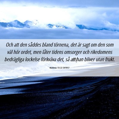 Picture 06 - Matteus 13:22 SV1917 - Och att den såddes bland törnena, det är sagt - Bible Verse Picture