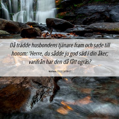 Picture 06 - Matteus 13:27 SV1917 - Då trädde husbondens tjänare fram och sade - Bible Verse Picture
