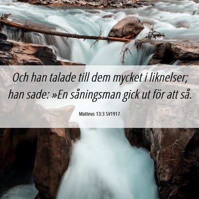 Picture 06 - Matteus 13:3 SV1917 - Och han talade till dem mycket i liknelser; han - Bible Verse Picture