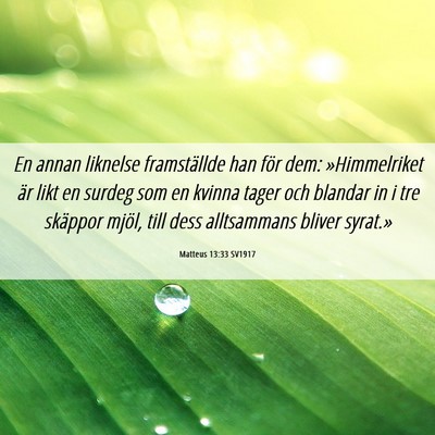 Picture 06 - Matteus 13:33 SV1917 - En annan liknelse framställde han för dem: - Bible Verse Picture