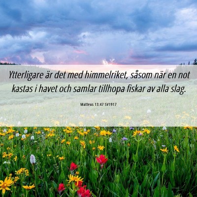 Picture 06 - Matteus 13:47 SV1917 - Ytterligare är det med himmelriket, såsom när - Bible Verse Picture
