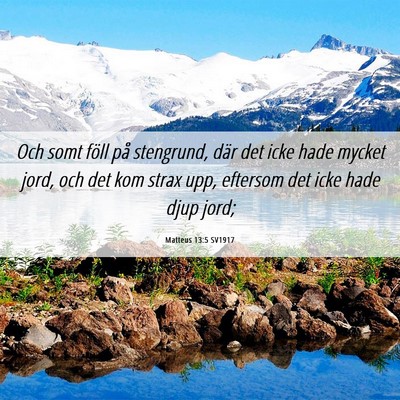 Picture 06 - Matteus 13:5 SV1917 - Och somt föll på stengrund, där det icke hade - Bible Verse Picture