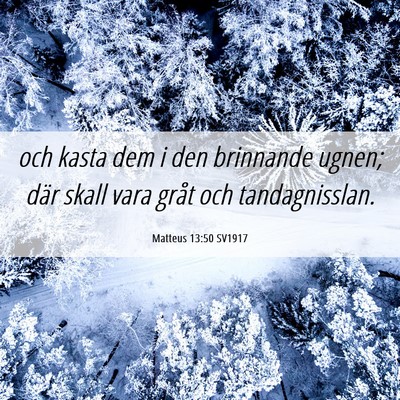 Picture 06 - Matteus 13:50 SV1917 - och kasta dem i den brinnande ugnen; där skall - Bible Verse Picture