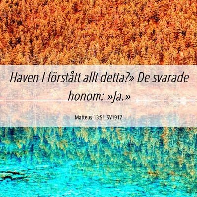 Picture 06 - Matteus 13:51 SV1917 - Haven I förstått allt detta?» De svarade - Bible Verse Picture