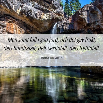 Picture 06 - Matteus 13:8 SV1917 - Men somt föll i god jord, och det gav frukt, - Bible Verse Picture