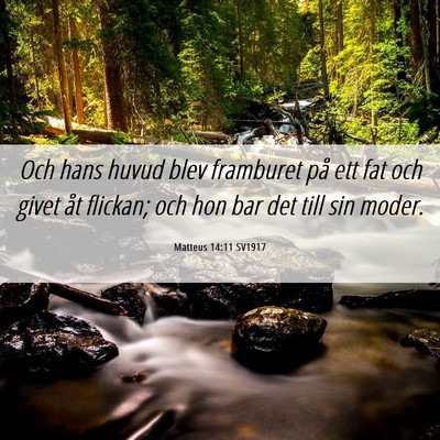 Picture 06 - Matteus 14:11 SV1917 - Och hans huvud blev framburet på ett fat och - Bible Verse Picture