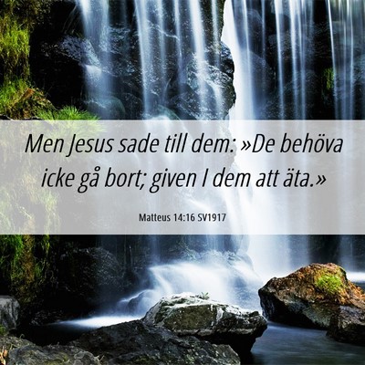 Picture 06 - Matteus 14:16 SV1917 - Men Jesus sade till dem: »De behöva icke gå - Bible Verse Picture