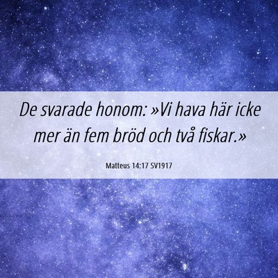 Picture 06 - Matteus 14:17 SV1917 - De svarade honom: »Vi hava här icke mer än fem - Bible Verse Picture