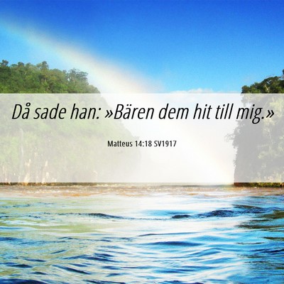 Picture 06 - Matteus 14:18 SV1917 - Då sade han: »Bären dem hit till - Bible Verse Picture