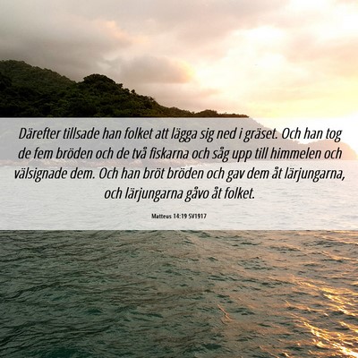 Picture 06 - Matteus 14:19 SV1917 - Därefter tillsade han folket att lägga sig ned - Bible Verse Picture