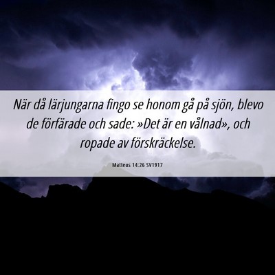 Picture 06 - Matteus 14:26 SV1917 - När då lärjungarna fingo se honom gå på - Bible Verse Picture