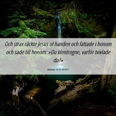 Picture 06 - Matteus 14:31 SV1917 - Och strax räckte Jesus ut handen och fattade i - Bible Verse Picture