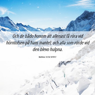 Picture 06 - Matteus 14:36 SV1917 - Och de bådo honom att allenast få röra vid - Bible Verse Picture