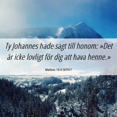 Picture 06 - Matteus 14:4 SV1917 - Ty Johannes hade sagt till honom: »Det är icke - Bible Verse Picture