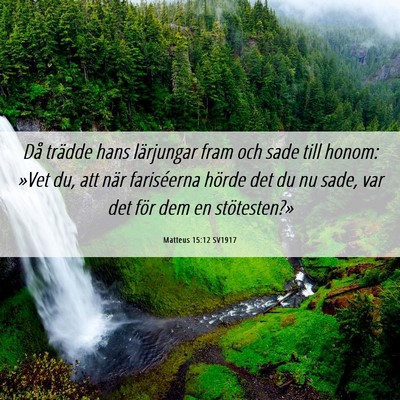 Picture 06 - Matteus 15:12 SV1917 - Då trädde hans lärjungar fram och sade till - Bible Verse Picture