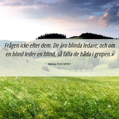 Picture 06 - Matteus 15:14 SV1917 - Frågen icke efter dem. De äro blinda ledare; - Bible Verse Picture