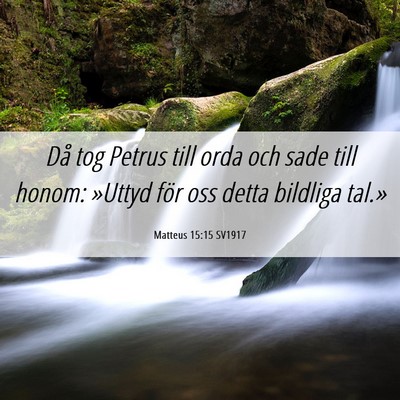 Picture 06 - Matteus 15:15 SV1917 - Då tog Petrus till orda och sade till honom: - Bible Verse Picture