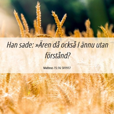 Picture 06 - Matteus 15:16 SV1917 - Han sade: »Ären då också I ännu utan - Bible Verse Picture