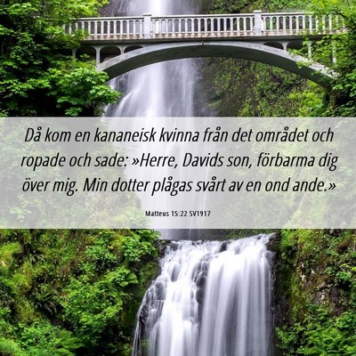 Picture 06 - Matteus 15:22 SV1917 - Då kom en kananeisk kvinna från det området - Bible Verse Picture