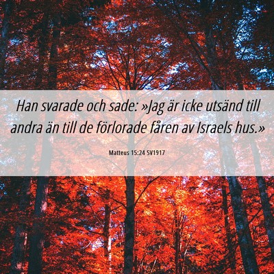 Picture 06 - Matteus 15:24 SV1917 - Han svarade och sade: »Jag är icke utsänd till - Bible Verse Picture