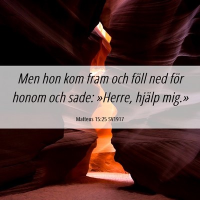 Picture 06 - Matteus 15:25 SV1917 - Men hon kom fram och föll ned för honom och - Bible Verse Picture