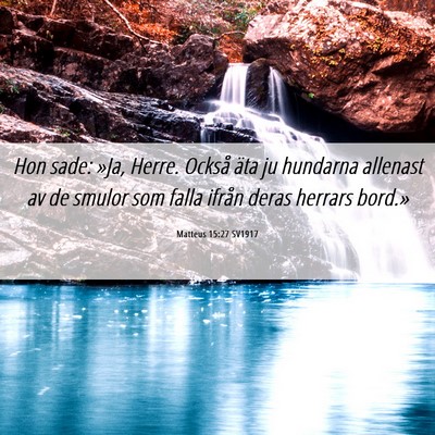 Picture 06 - Matteus 15:27 SV1917 - Hon sade: »Ja, Herre. Också äta ju hundarna - Bible Verse Picture