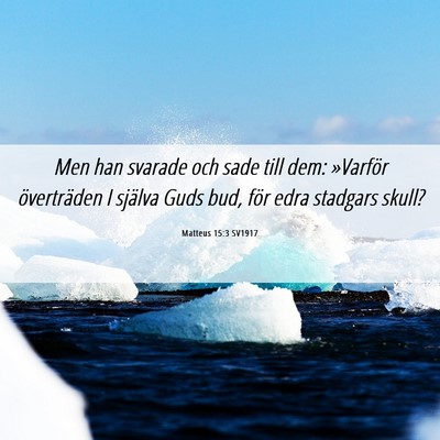 Picture 06 - Matteus 15:3 SV1917 - Men han svarade och sade till dem: »Varför - Bible Verse Picture
