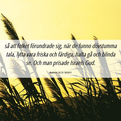 Picture 06 - Matteus 15:31 SV1917 - så att folket förundrade sig, när de funno - Bible Verse Picture