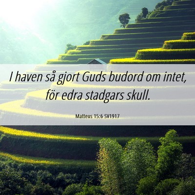 Picture 06 - Matteus 15:6 SV1917 - I haven så gjort Guds budord om intet, för edra - Bible Verse Picture