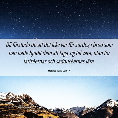 Picture 06 - Matteus 16:12 SV1917 - Då förstodo de att det icke var för surdeg i - Bible Verse Picture
