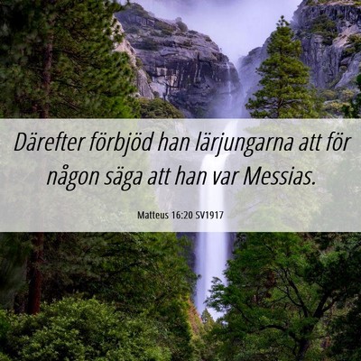 Picture 06 - Matteus 16:20 SV1917 - Därefter förbjöd han lärjungarna att för - Bible Verse Picture