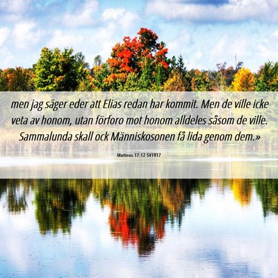 Picture 06 - Matteus 17:12 SV1917 - men jag säger eder att Elias redan har kommit. - Bible Verse Picture