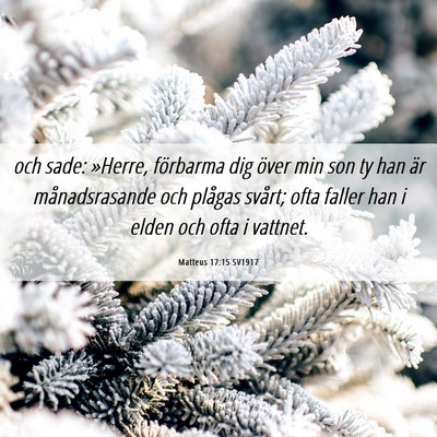Picture 06 - Matteus 17:15 SV1917 - och sade: »Herre, förbarma dig över min son ty - Bible Verse Picture
