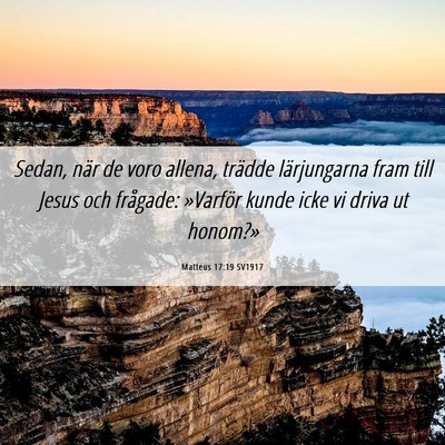 Picture 06 - Matteus 17:19 SV1917 - Sedan, när de voro allena, trädde lärjungarna - Bible Verse Picture