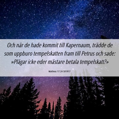 Picture 06 - Matteus 17:24 SV1917 - Och när de hade kommit till Kapernaum, trädde - Bible Verse Picture