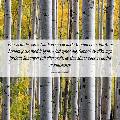 Picture 06 - Matteus 17:25 SV1917 - Han svarade: »Jo.» När han sedan hade kommit - Bible Verse Picture