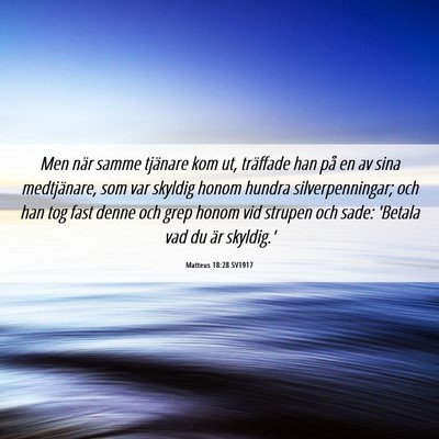 Picture 06 - Matteus 18:28 SV1917 - Men när samme tjänare kom ut, träffade han på - Bible Verse Picture