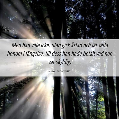 Picture 06 - Matteus 18:30 SV1917 - Men han ville icke, utan gick åstad och lät - Bible Verse Picture